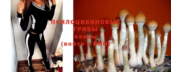 кокс Саяногорск