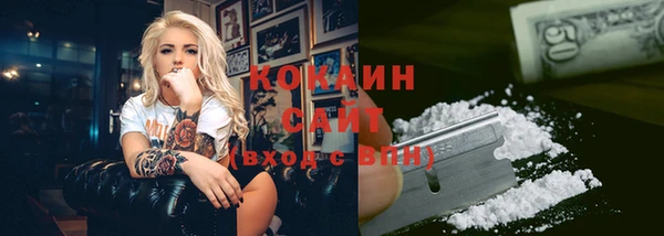 винт Инсар