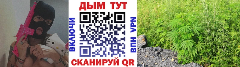 Марихуана сатива Каменногорск